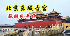 护士被狂插不停中国北京-东城古宫旅游风景区